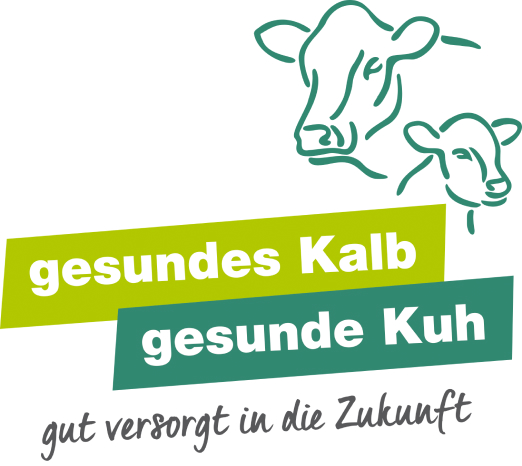 Gesundes Kalb Gesunde Kuh