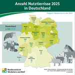 BZL Grafik Nutztierrisse 2025 In Deutschland