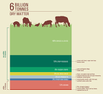 FAO Nahrungsmittelkonkurrenz FAO Nahrungsmittelkonkurrenz