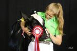 (c)Foto Schulte: Jungzüchterin auf der German Dairy Show 2019 (c)Foto Schulte: Jungzüchterin auf der German Dairy Show 2019