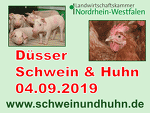 "Schwein und Huhn 2019", Haus Düsse "Schwein und Huhn 2019", Haus Düsse