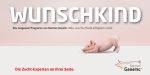 Motiv Wunschkind Motiv Wunschkind