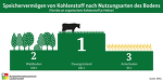 Kohenstoffspeicher BIZ / BMEL Kohenstoffspeicher BIZ / BMEL
