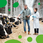 (c)Huvepharma: Auf den Huvepharma Kanälen werden Themen rund um das Management, die Hygiene, Krankheiten, uvm. besprochen (c)Huvepharma: Auf den Huvepharma Kanälen werden Themen rund um das Management, die Hygiene, Krankheiten, uvm. besprochen