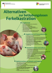 (c) BLE: Poster zu den Kastrationsalternativen (c) BLE: Poster zu den Kastrationsalternativen