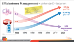 Effizientes Management Effizientes Management