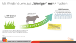 Eiweiß Aus Weniger Mehr Machen Eiweiß Aus Weniger Mehr Machen