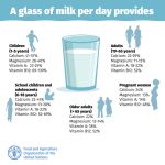 FAO: Milch ist wichtiges Lebensmittel FAO: Milch ist wichtiges Lebensmittel