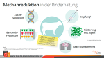 Möglichkeiten Methansenkung Möglichkeiten Methansenkung