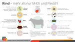 Produkte Vom Rind Produkte Vom Rind