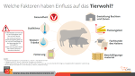 Tierwohl Bestandsgröße Tierwohl Bestandsgröße