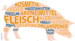 Schweinehaltung: mehr als nur Lebensmittel