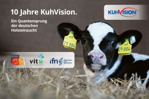 10 Jahre KuhVision
&copy; Dorothee Warder