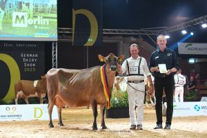 Grand Champion Jersey WIT Jambalaya (Barnabas) von Thomas Wiethege
© Christine Massfeller