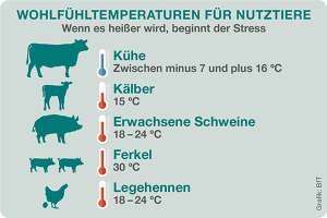 Grafik BfT Wohlfuehltemperatur